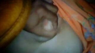 பெரிய டிக்ஸ்