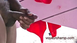 தனியா