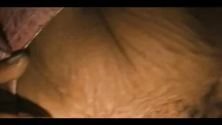 மக்ராவின் நடிப்பில்